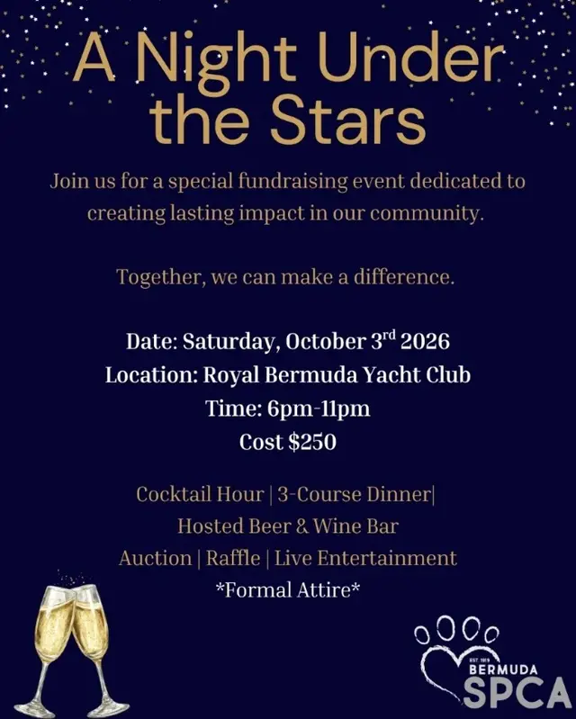 A Night Under The Stars ~ SPCA Fundraiser